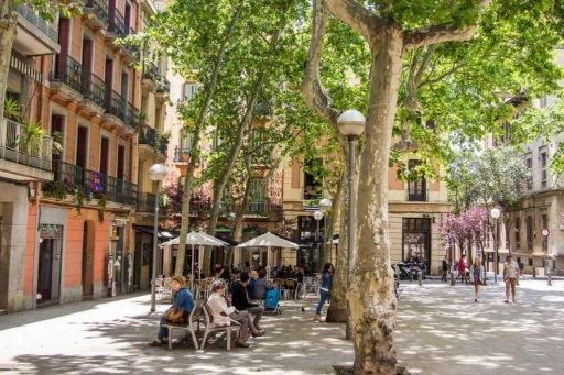 Office space for startups Gracia Joanic