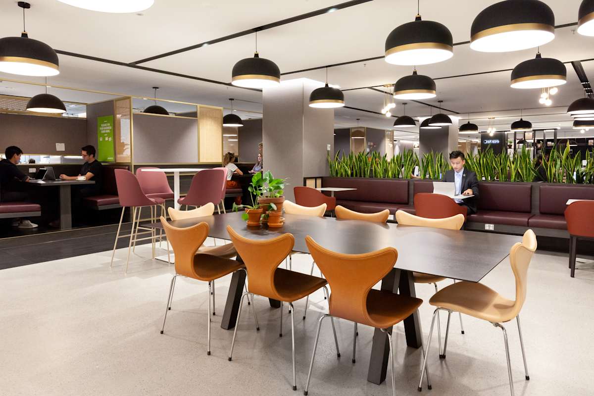 Coworking pour équipes à Barceloneta | Officionados