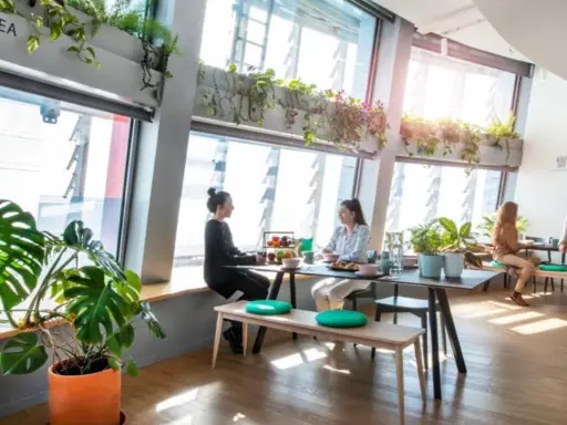 open office space with multiple workstations Shared coworking with professional vibe