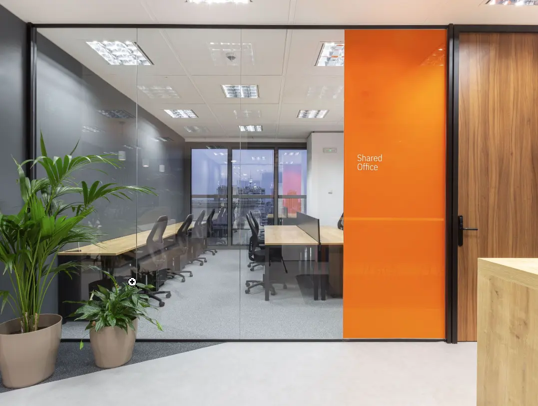 private office plaza castilla