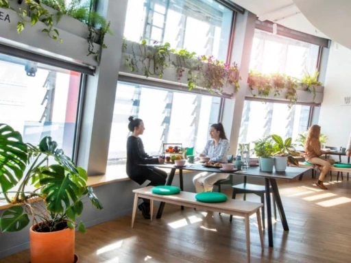 Shared office with professional vibe